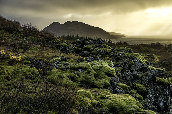 The road around Thingvellir is twisty and full of blind hills